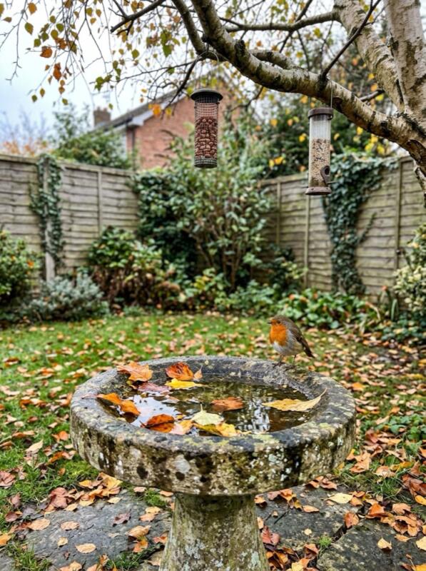 A Bird Bath and Feeders – autumn idea for a small UK garden