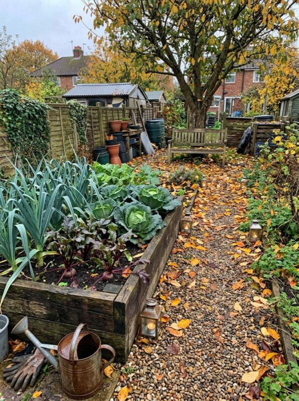 A Gravel Path Scattered with Leaves – autumn idea for a small UK garden
