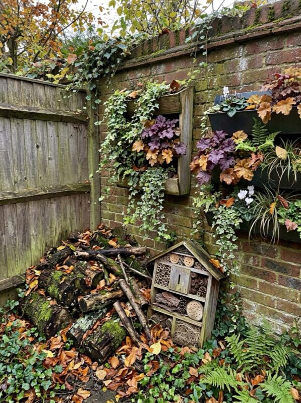 A Log Pile and Bug Hotel – autumn idea for a small UK garden