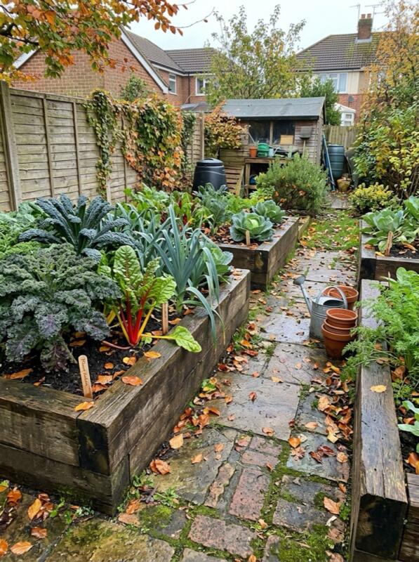 Winter Vegetables in Raised Planters – autumn idea for a small UK garden