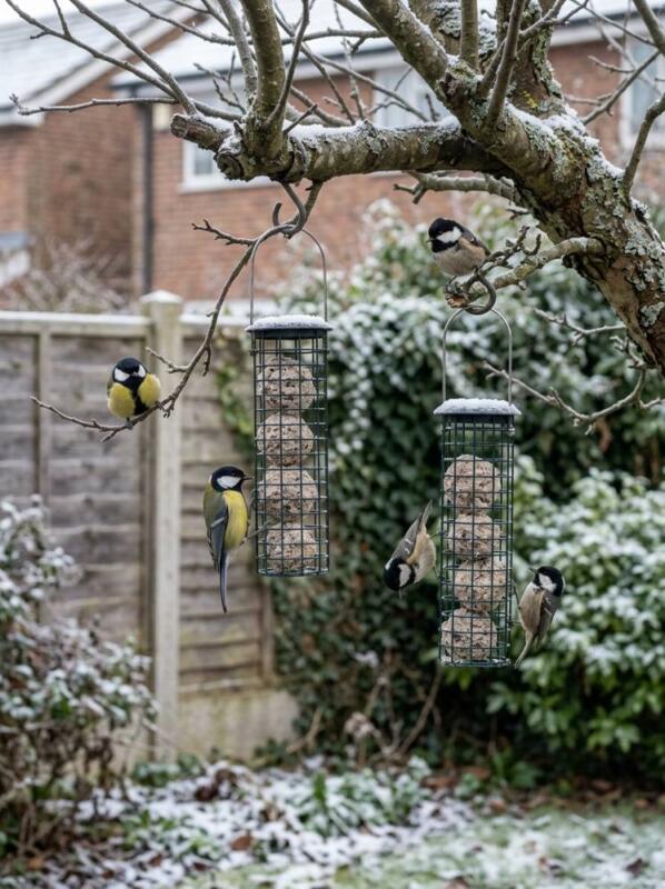 Fat Ball Feeders for Tits – bird-friendly garden idea for UK winter