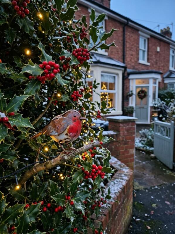 Lit Holly Bush with a Robin Ornament – Christmas front garden idea for UK homes