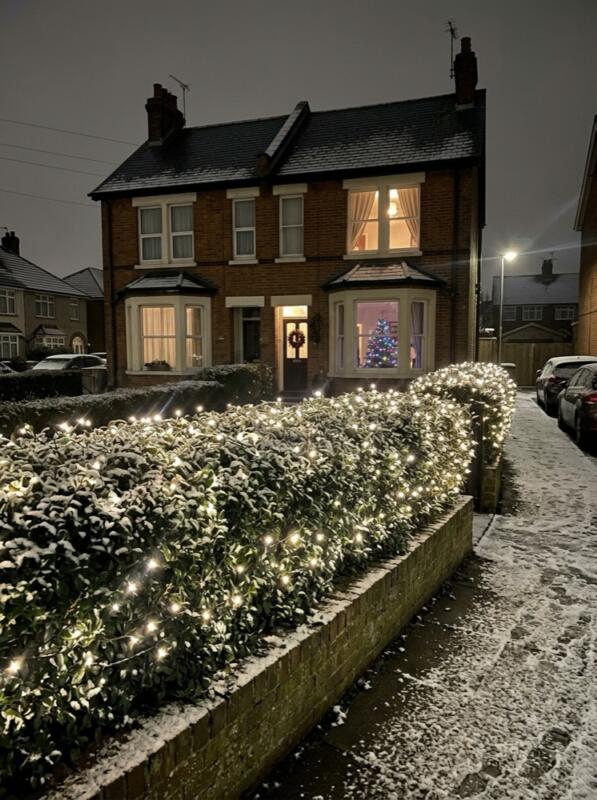 Fairy Lights Over a Front Hedge – Christmas front garden idea for UK homes