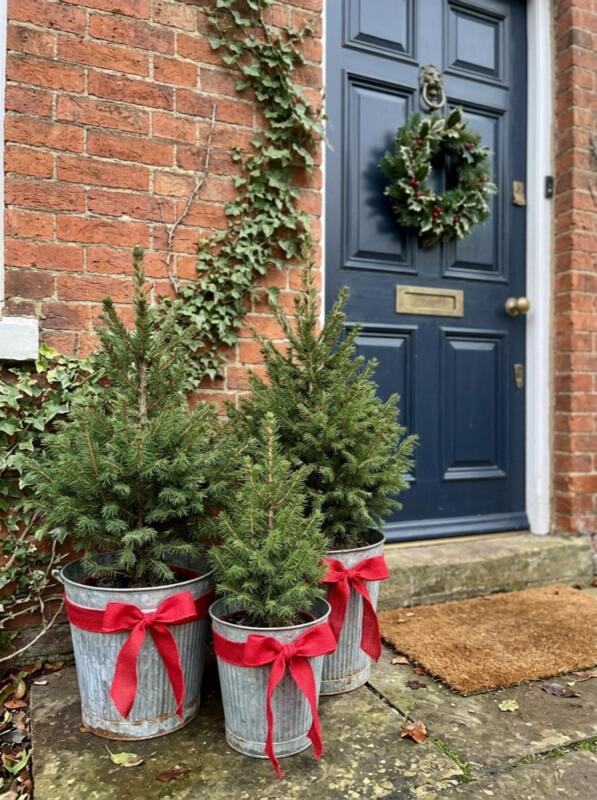Three Mini Trees in Metal Buckets – Christmas front garden idea for UK homes