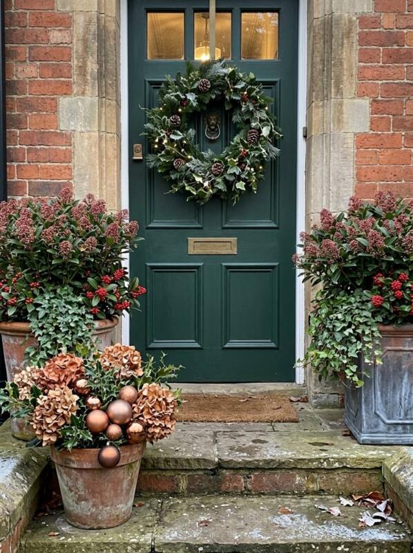 Skimmia and Ivy Planters either Side of the Door – Christmas planter idea for UK homes