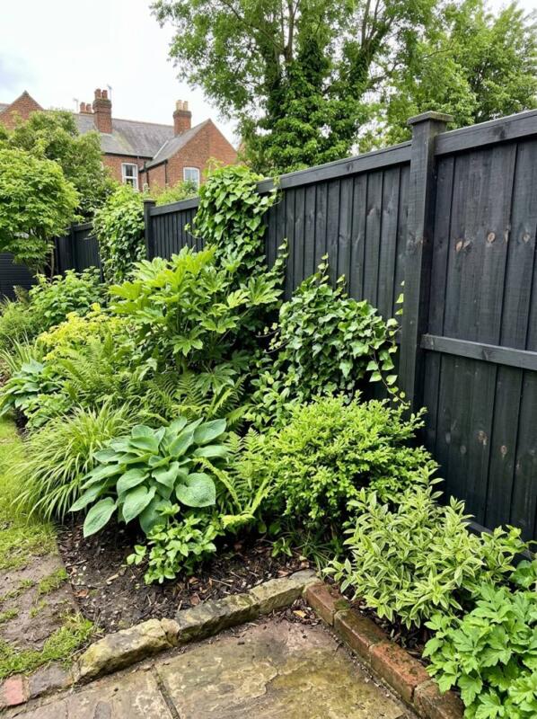 A Black Fence That Makes Greens Pop – garden fence idea for UK gardens