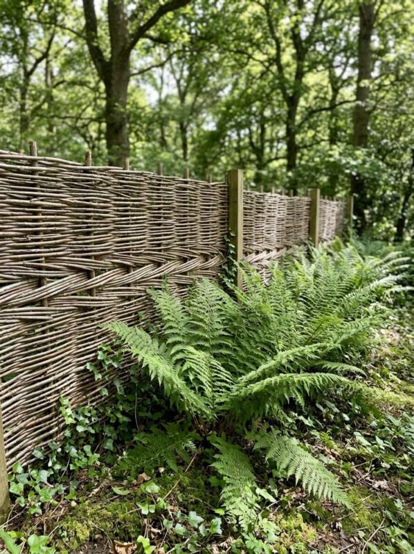 Woven Willow Hurdles with Ferns – garden fence idea for UK gardens