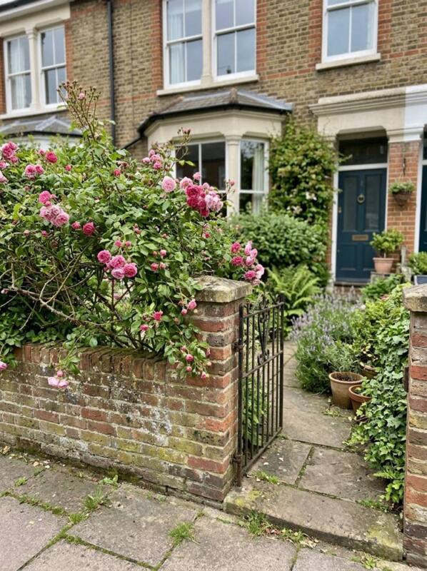 A Climbing Rose over the Front Wall – small front garden idea for UK terraced houses
