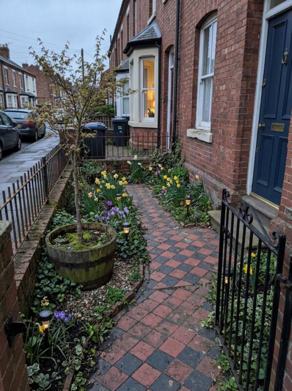A Small Tree in a Tub and a Tiled Path – small front garden idea for UK terraced houses