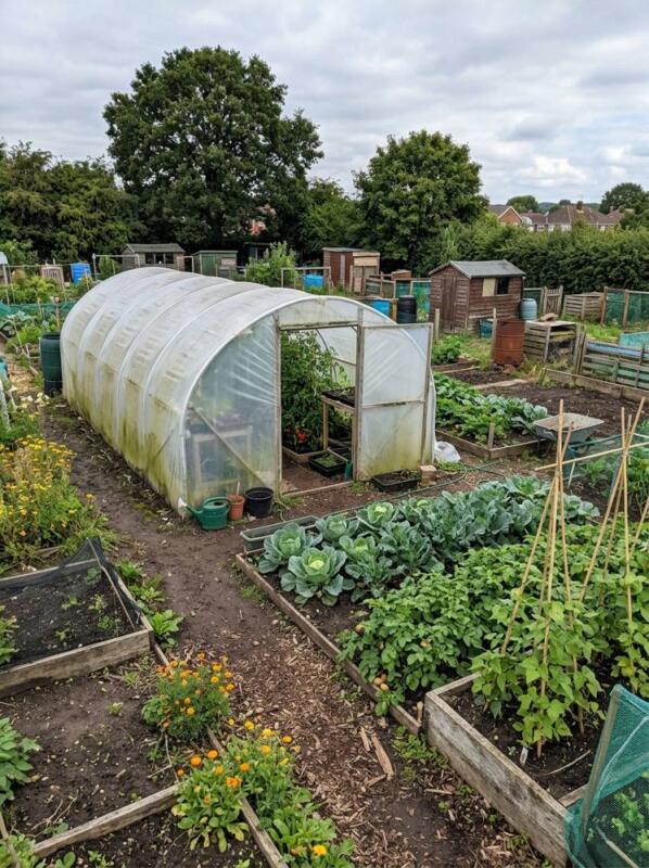 A Polytunnel on the Allotment – greenhouse idea for UK gardens