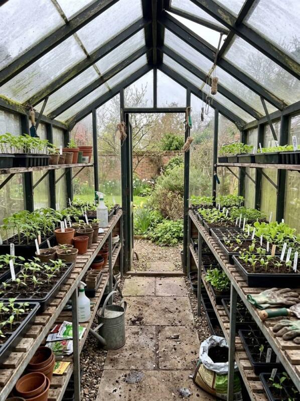 Staging Shelves for Seedlings – greenhouse idea for UK gardens