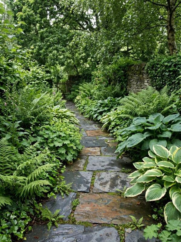 A Slate Path through Ferns and Hostas – garden path idea for UK gardens