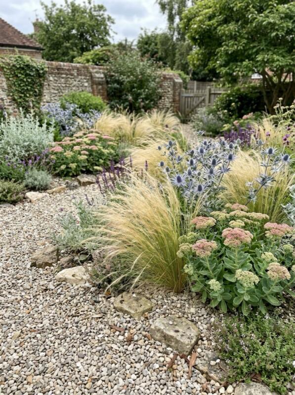 A Dry Garden with Grasses and Sea Holly – Mediterranean garden idea for the UK