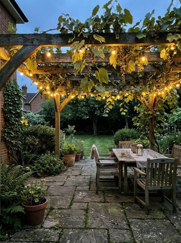 A Pergola with a Grape Vine – Mediterranean garden idea for the UK