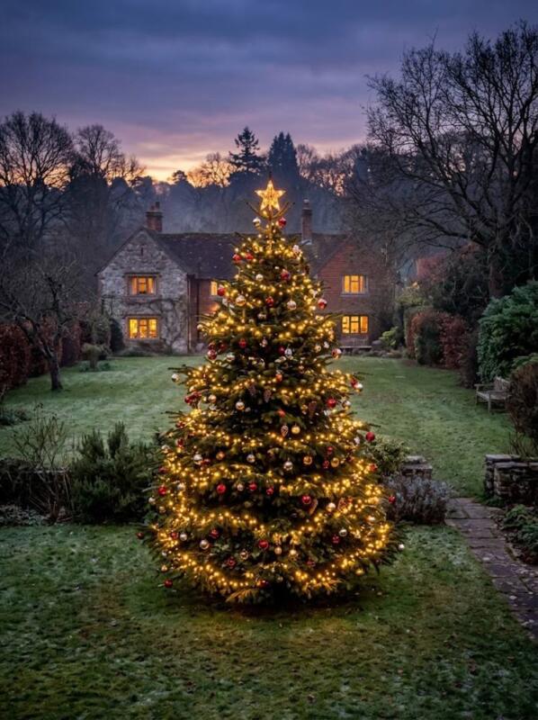 A Big Decorated Tree on the Lawn – outdoor Christmas tree idea for UK gardens and porches