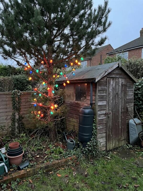 A Pine Wrapped in Retro Lights – outdoor Christmas tree idea for UK gardens and porches