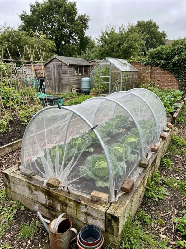 A Raised Bed with Hoops and Netting – raised bed idea for UK gardens