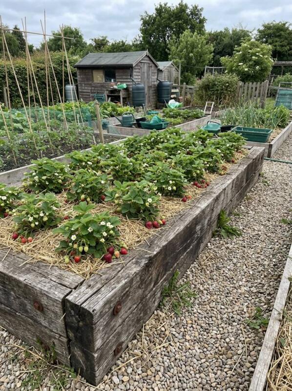 Sleeper Beds with Gravel Paths – raised bed idea for UK gardens