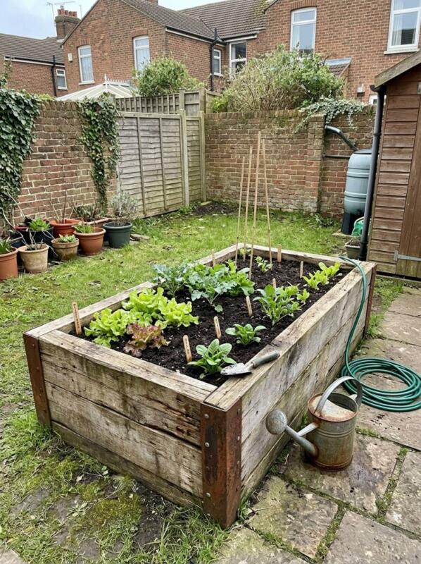 A Scaffold Board Raised Bed – budget small backyard idea for UK gardens