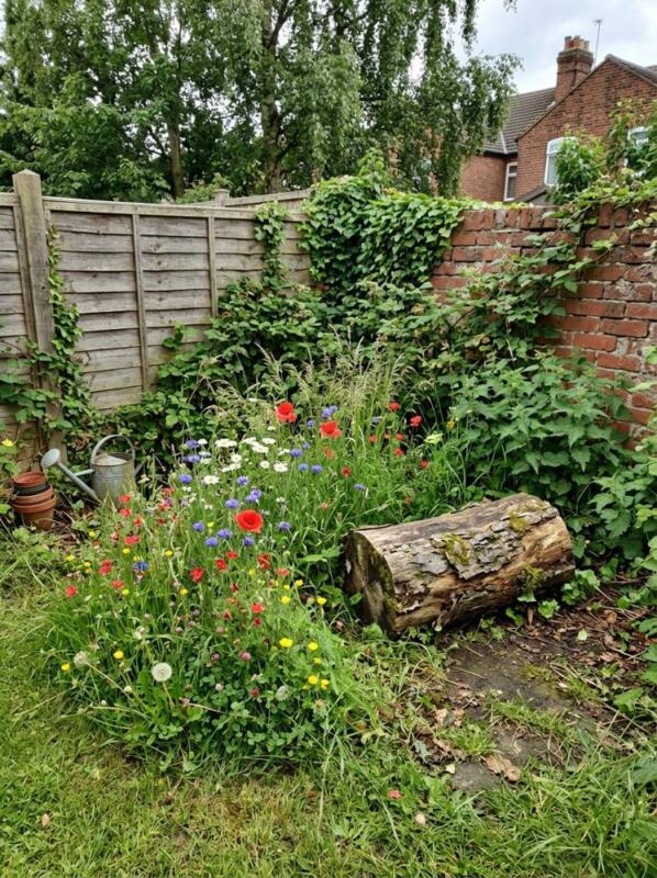 A Wildflower Patch with a Log Seat – budget small backyard idea for UK gardens