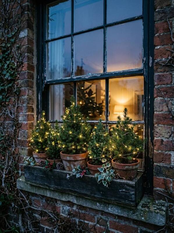 Mini Christmas Trees and Fairy Lights – Christmas window box idea for UK homes