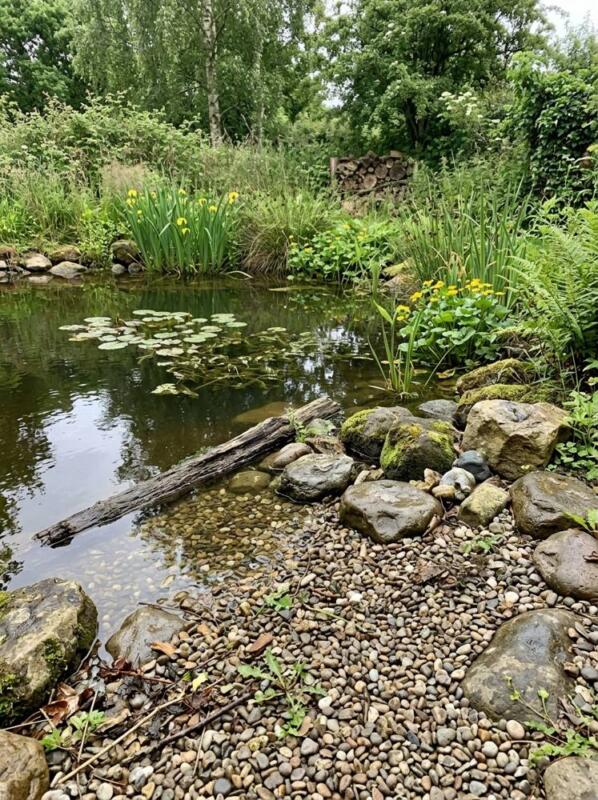 A Natural Pond with a Gravel Beach – pond and water feature idea for UK gardens