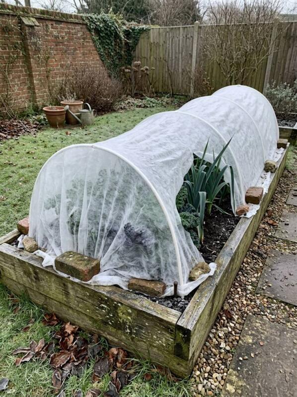 A Fleece Cloche over a Vegetable Bed – winter garden idea for UK gardens