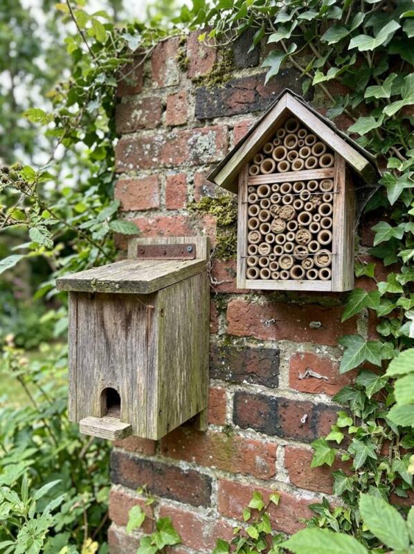 Bee Boxes on a Sunny Wall – wildlife garden idea for UK gardens