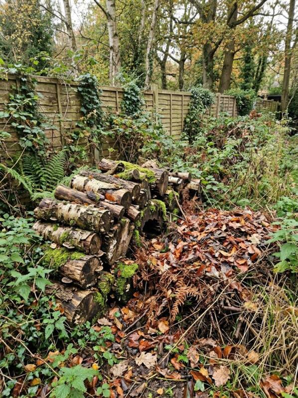 A Log and Leaf Pile – wildlife garden idea for UK gardens