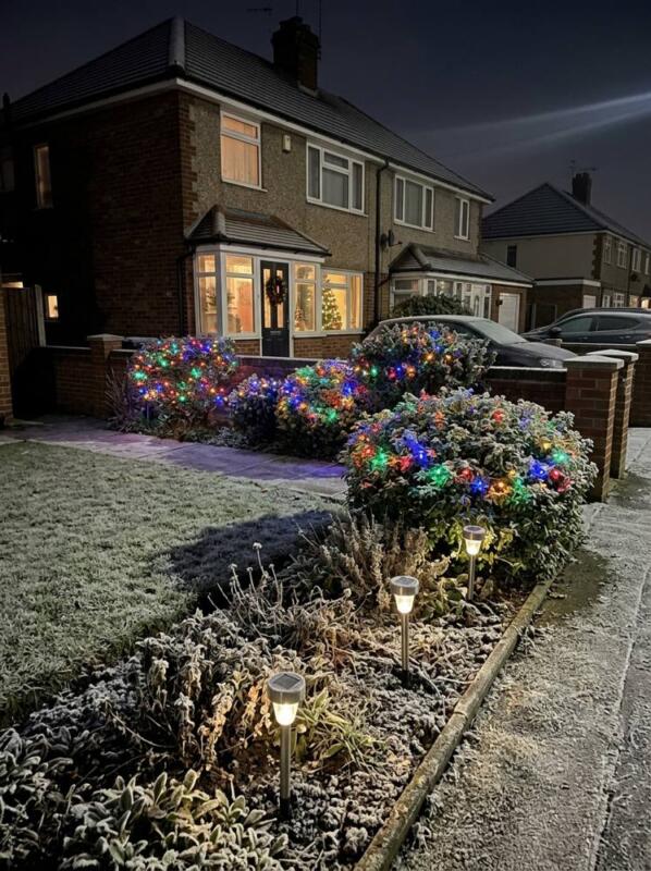Colourful Shrubs and Solar Stake Lights – outdoor Christmas lights idea for UK gardens