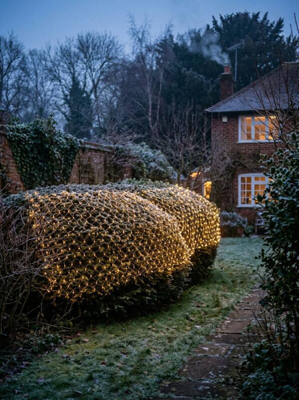 Net Lights over a Hedge – outdoor Christmas lights idea for UK gardens